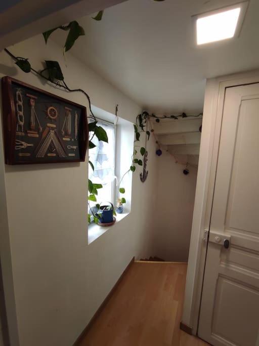Chaleureuse Maison De Ville Avec Parking Gratuit Chinon Eksteriør bilde